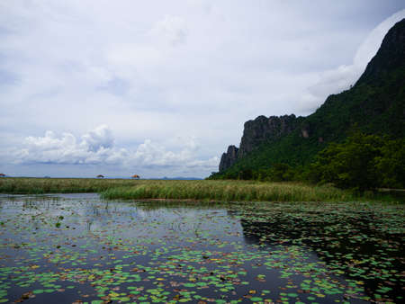 The lotus pond and the cloudy sky with mountain, Thailandの写真素材