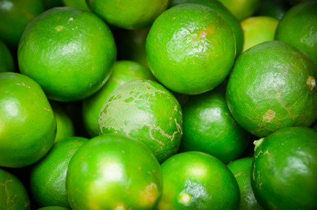 A group of fresh green limeの写真素材