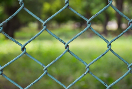 Fence with green backgroundの写真素材