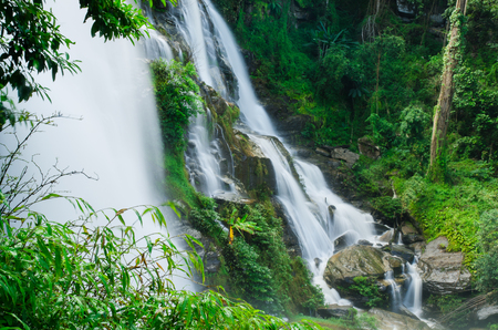 A waterfall in the jungleの写真素材