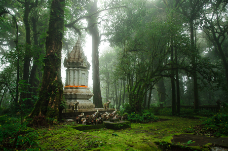 A shrine of god in the middle of the jungleの写真素材