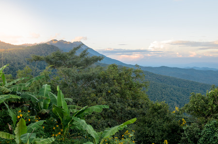 The mountain top in the jungle of Thailandの写真素材