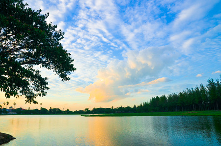 An evening scene of pond in the parkの写真素材