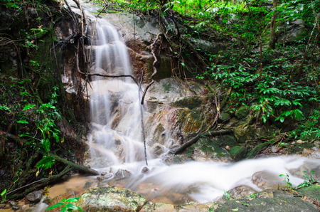 The water stream flowing from the cliff in the rain forestの写真素材