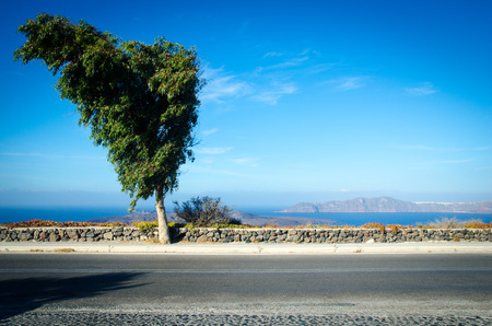 A scene of a tree on the street side with the oceon view and blue skyの写真素材