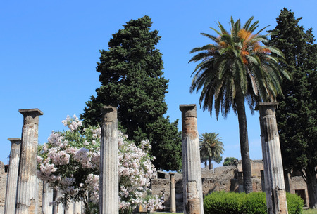 Garden in Pompeiiの写真素材