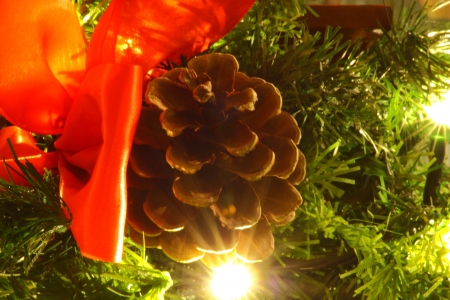 An image showing the concept of Christmas with lights, garland and pinesの写真素材