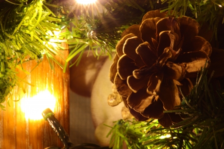 An image showing the concept of Christmas with lights, garland and pinesの写真素材