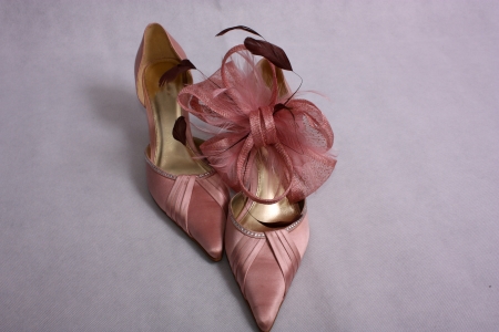 Two Shoes One Facinatorの写真素材