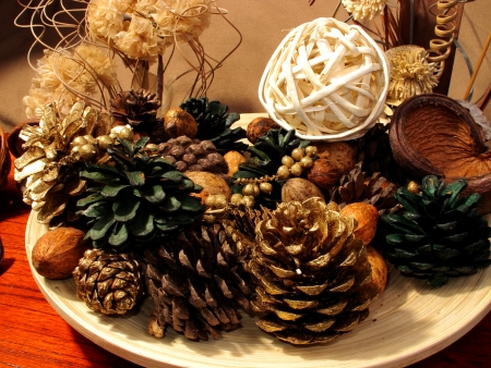 Pine cones and shapesの写真素材