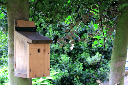 A small bird house fixed to the trunk of a tree