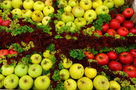 A box of red and green apples laid out in a patternの写真素材