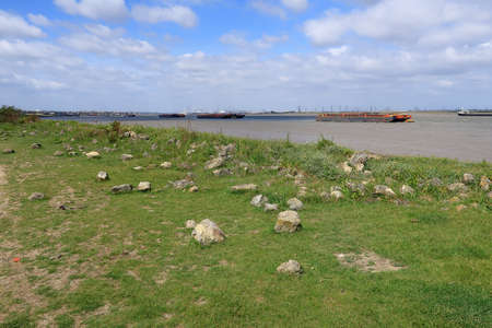 A view of the grassy riverbank alongside the Thames at Shorne