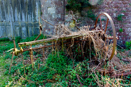 n old Manual harvesting farm tool covered in foliagの写真素材