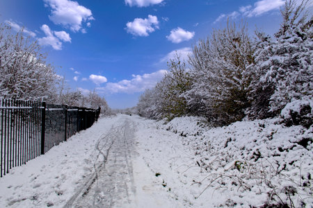 Picturesque snow covered landscape in a winter sceneの写真素材