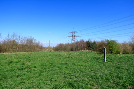 A picturesque woodland landscape in the North Kent countrysideの写真素材