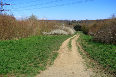 A footpath through the North Kent Countryside at Jeskyns Parkの写真素材