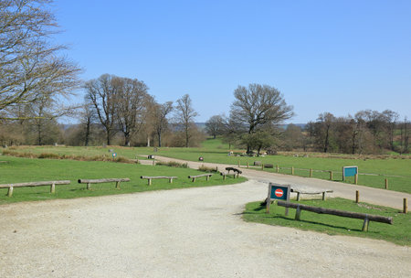 A beautiful woodland landscape in the Kent countrysideの写真素材