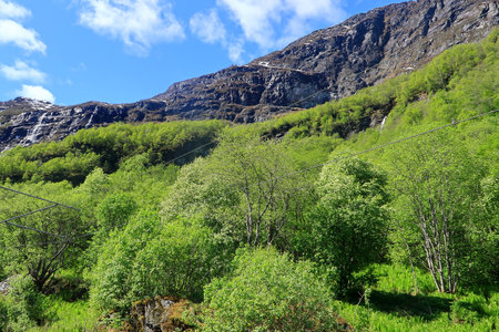 Rocky mountains and green trees in a Norwegian landscapeの写真素材