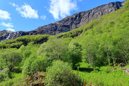 Norwegian Mountain range overlooking a beautiful green woodland in the Flam Valleyの写真素材
