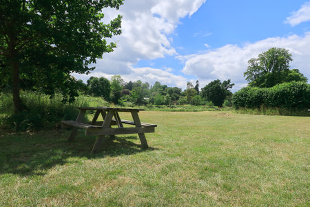 A picnic table under a tree in the Kent countrysideの写真素材