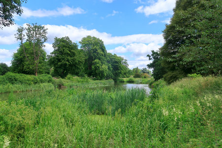 The River Eden in a Kentish woodland landscape sceneの写真素材