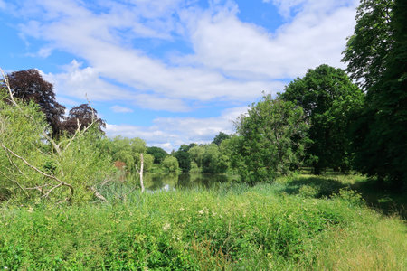 A beautiful woodland landscape in the kent countryside at Heverの写真素材