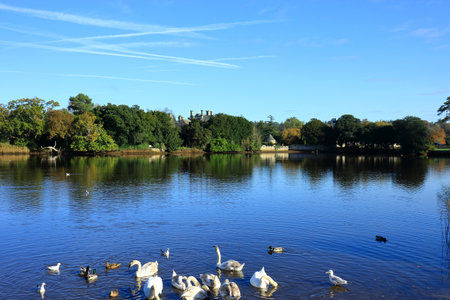 A view of the colourful Mill Pond at Beaulieu in the New Forestの写真素材
