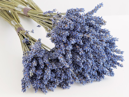 Close-up on the dried lavender の写真素材