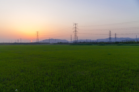 Sunset, electrical towers, wires, nergy Distribution Network - Electricity Pylons against Orange and Yellow Sunsetの写真素材