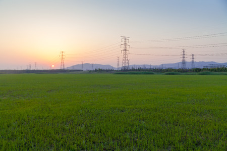 Sunset, electrical towers, wires, nergy Distribution Network - Electricity Pylons against Orange and Yellow Sunsetの写真素材