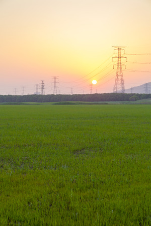 Sunset, electrical towers, wires, nergy Distribution Network - Electricity Pylons against Orange and Yellow Sunsetの写真素材