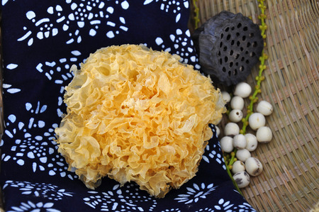 White fungus and lotus seedsの写真素材