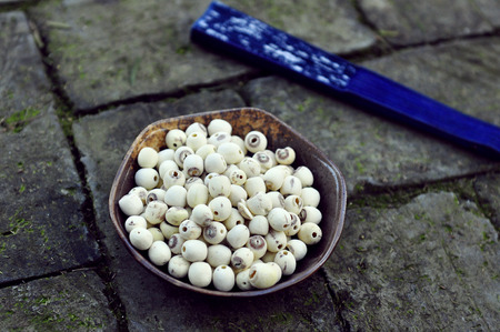 Lotus seedsの写真素材