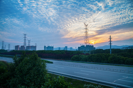 Trees by the roadの写真素材