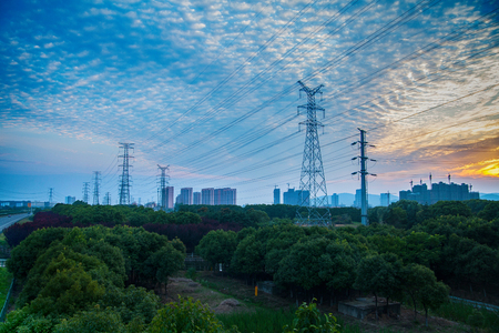 Trees by the roadの写真素材
