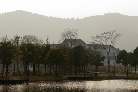 Trees by the lakeの写真素材