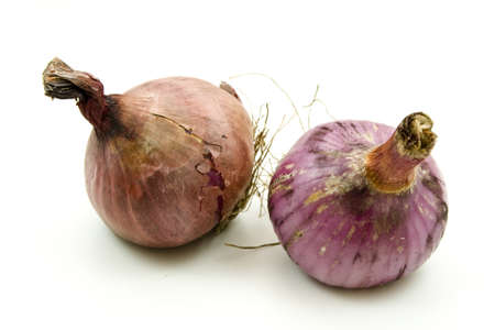 Fresh Red Onions for cookingの写真素材