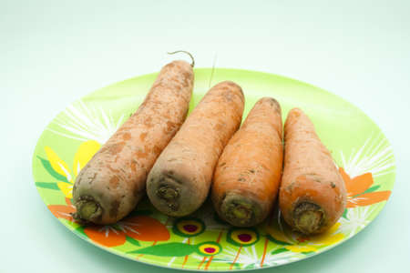 Fresh Carrots for cookingの写真素材
