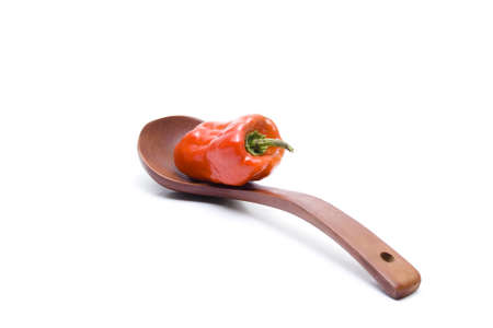 Red Capsicum on Wooden Soup Spoonの写真素材