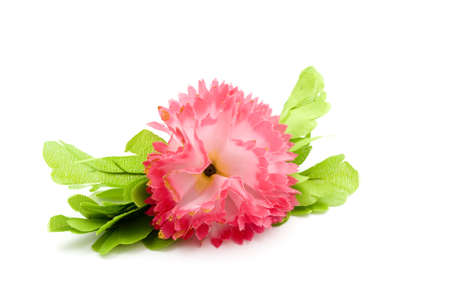 Decoration Flower on White Background の写真素材