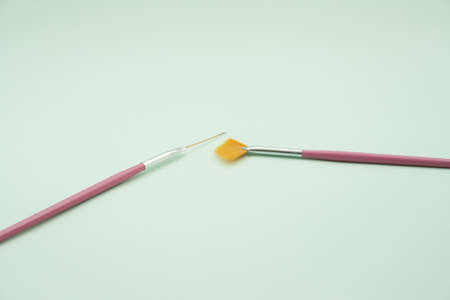 Cosmetic Brush for Manicureの写真素材