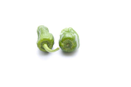 Fresh Green Capsicum の写真素材