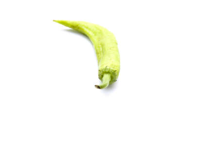 Fresh Green  Chili の写真素材