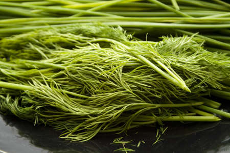 Fresh Chives and Dill  on Black  plateの写真素材