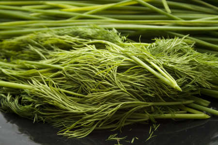 Fresh Chives and Dill  on Black  plate