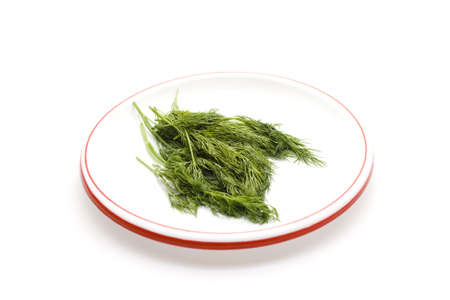 Fresh Green Dill on Plateの写真素材