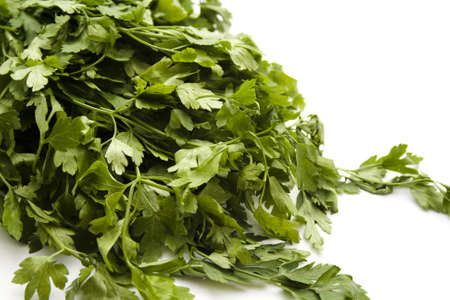 Fresh green Parsley on white background の写真素材