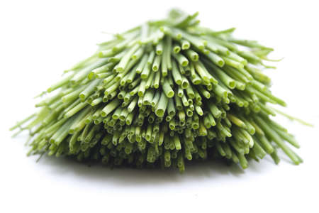Fresh Green Chives on white backgroundの写真素材