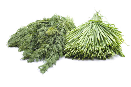 Fresh Green Chives and Dill  on white backgroundの写真素材